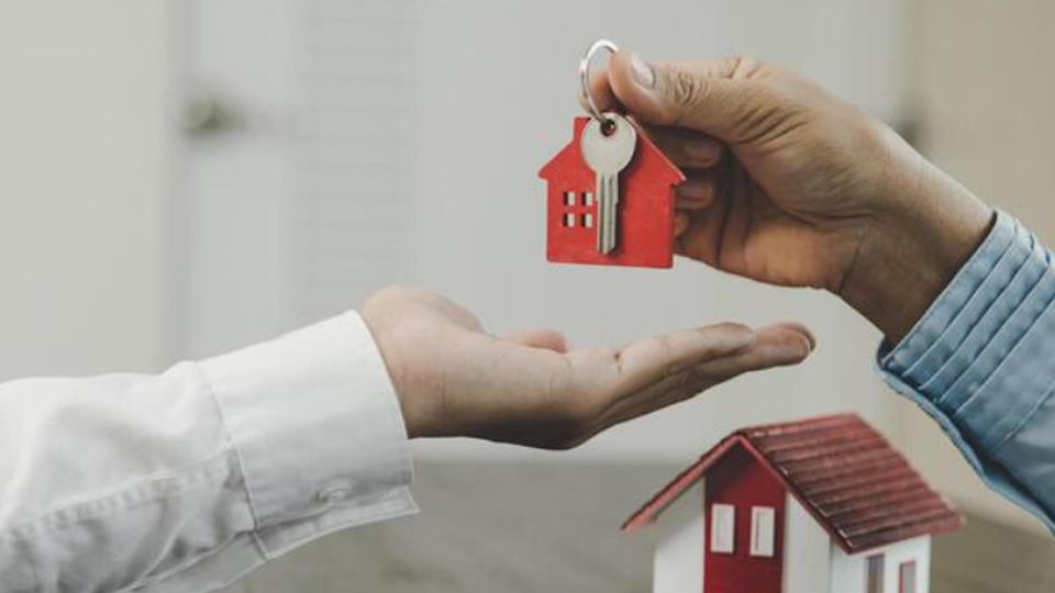 customer-orientation